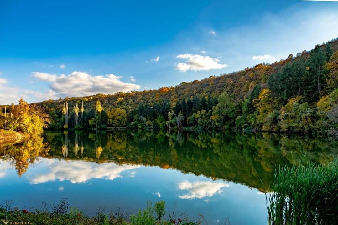 Hotel Villa Kaylaka Plevne Dış mekan fotoğraf